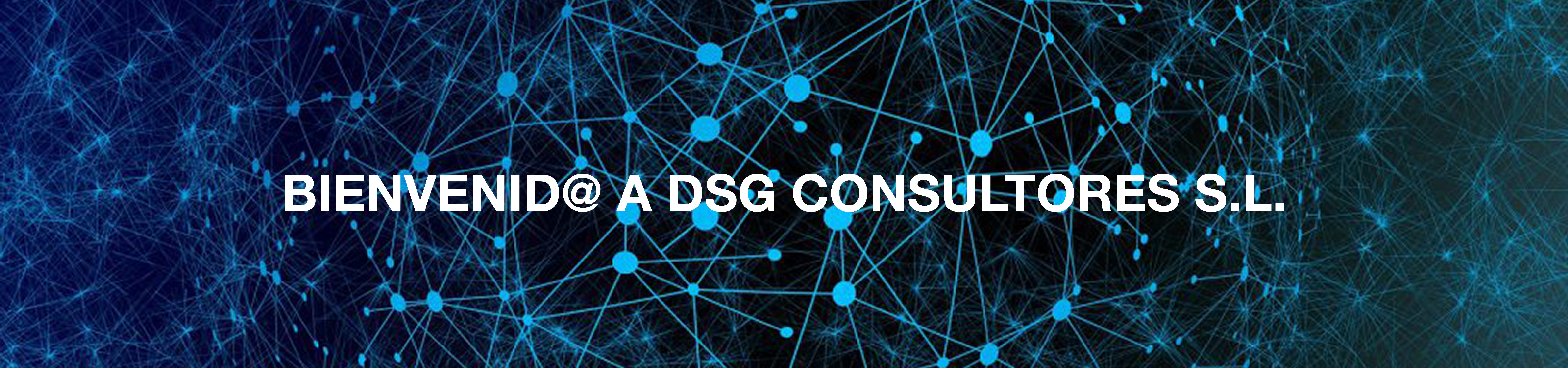 DSG Consultores